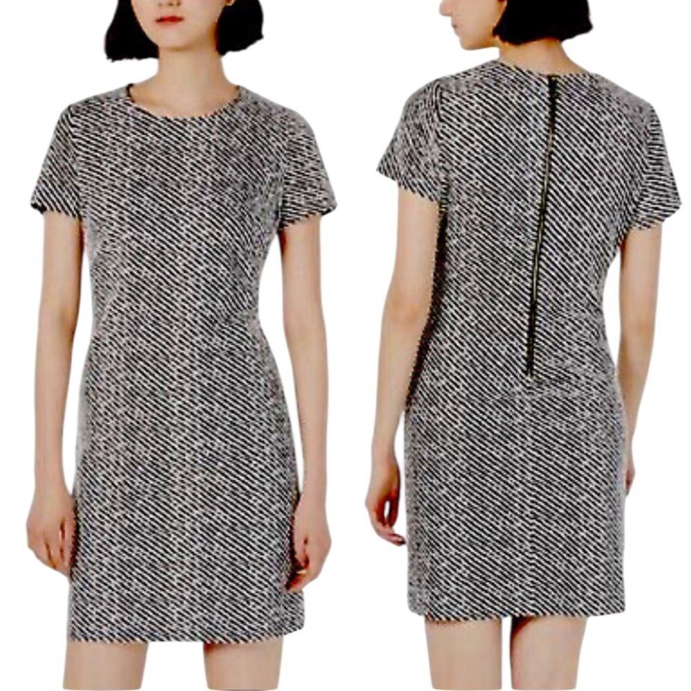Calvin Klein Ponte Knit Short Sleeve Sheath Mini Dress Womens Size 8 Black White